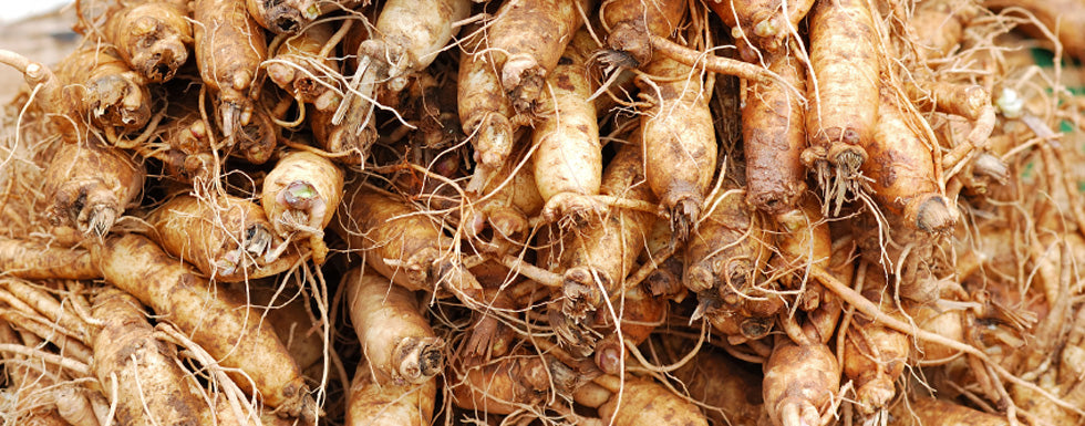 Ashwagandha: Mother Natures Workhorse