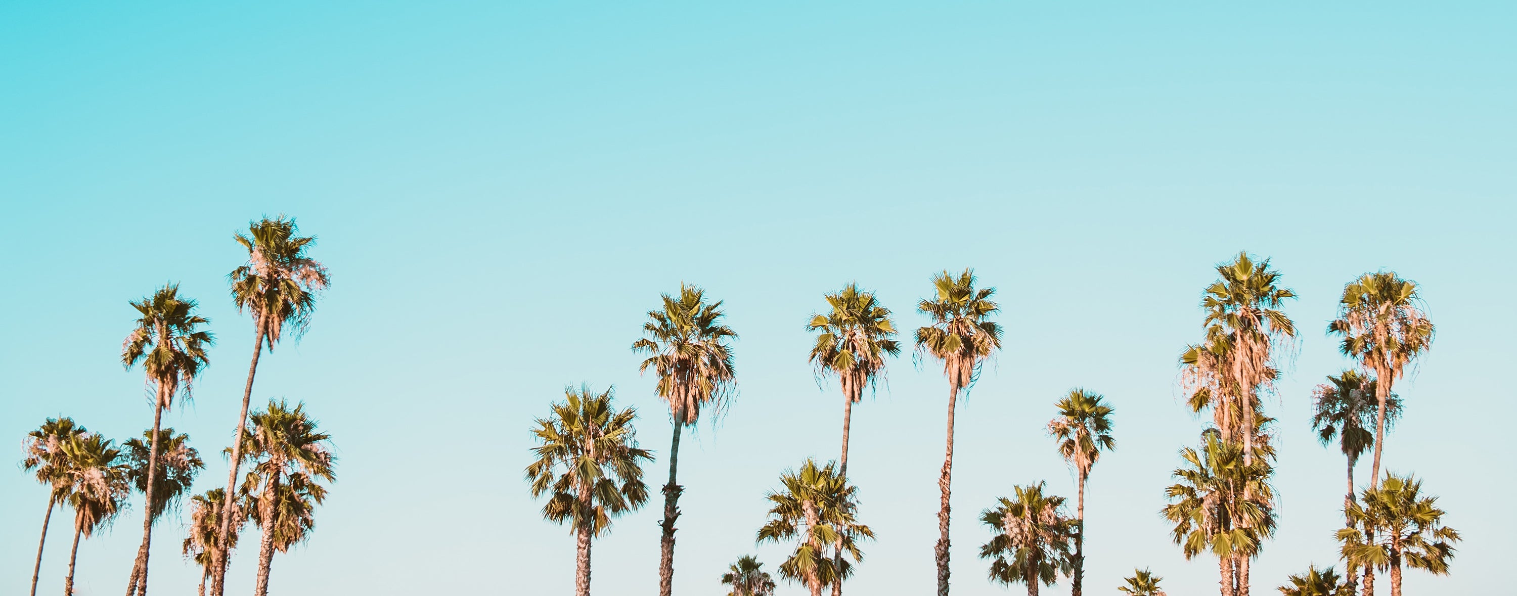 Ayurvedic Tips To Stay Cool This Summer