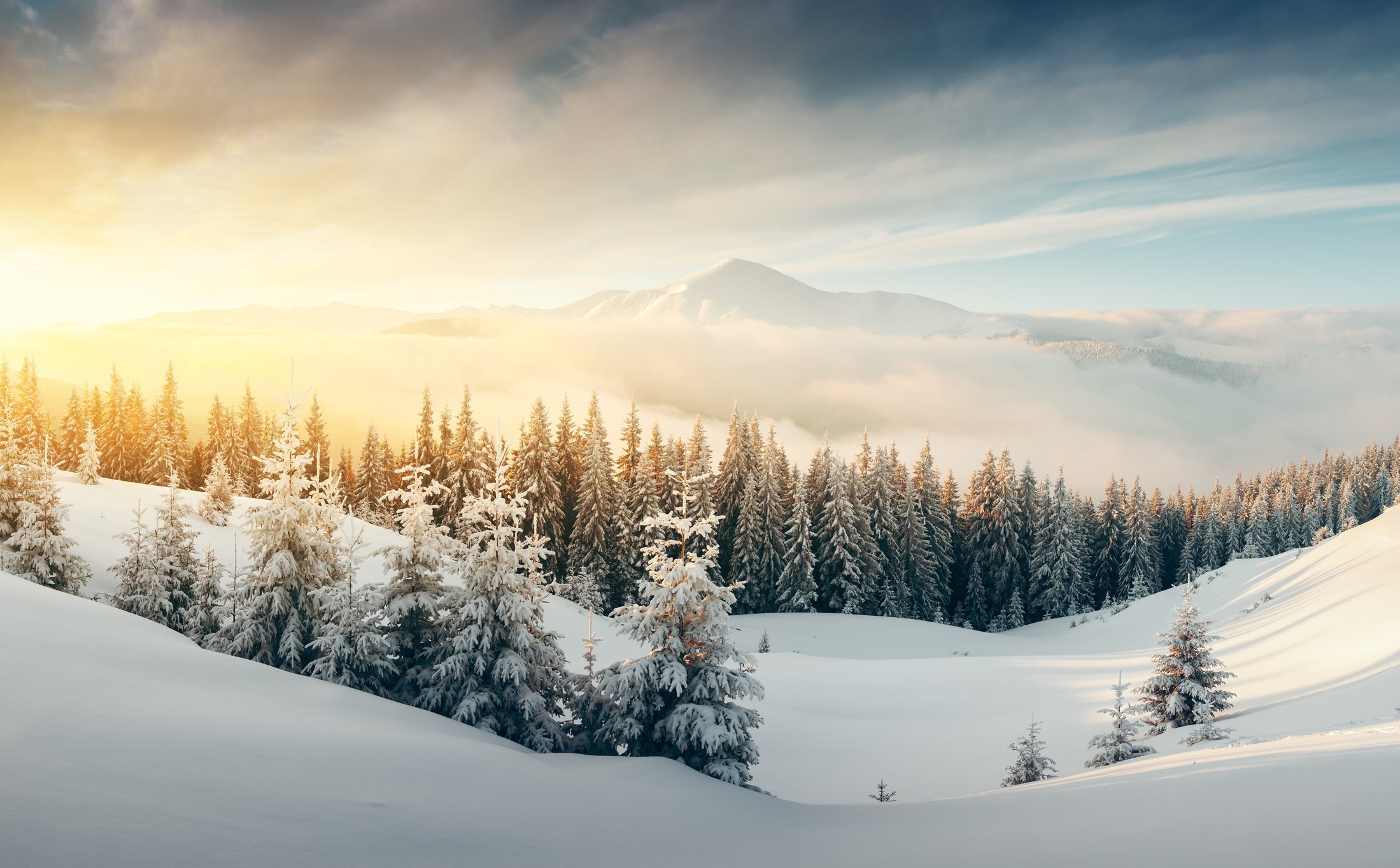 Winter's Deep Nourishment: Why This Is the Perfect Season for Shilajit